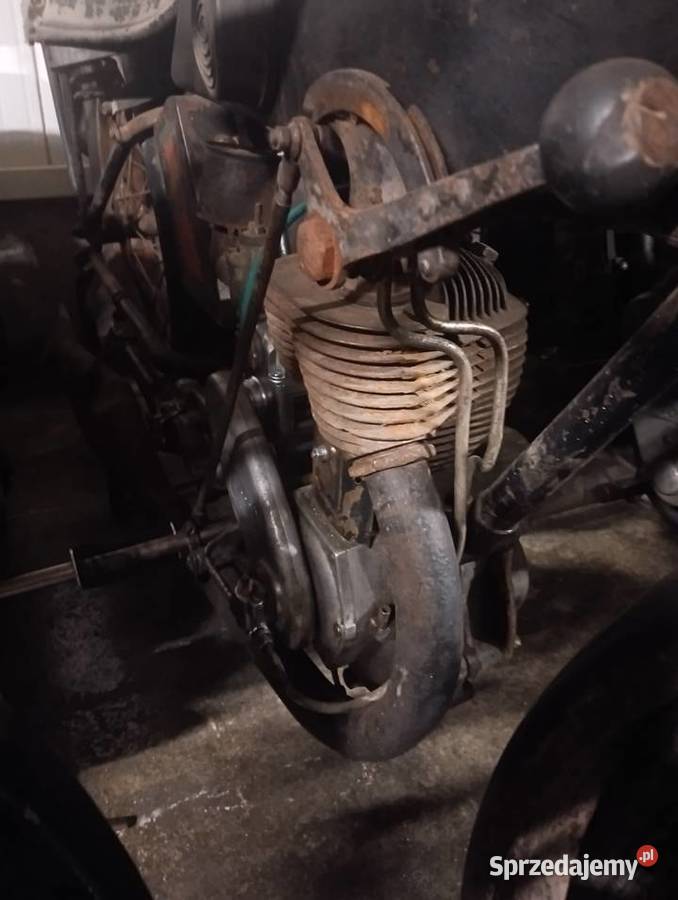 Sprzedam terrota h Pozostałe Gostycyn