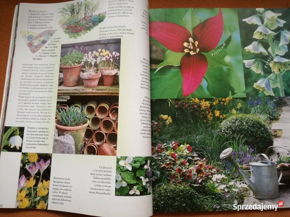 Mój piękny ogród Róże z tradycjami Czasopismo Książki i Podręczniki Łódź sprzedam