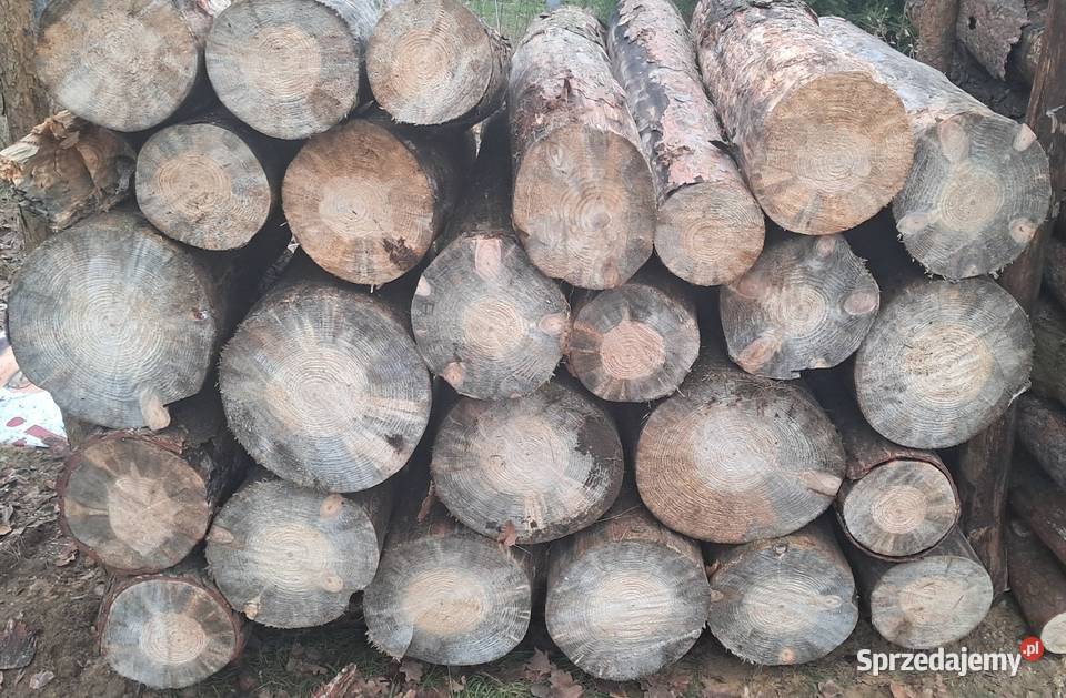 Drewno opałowe sosnowe posusz Kałuszyn sprzedam