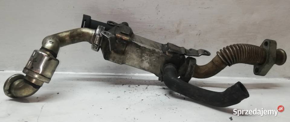 Chłodnica Spalin BMW 25 30D 224945604