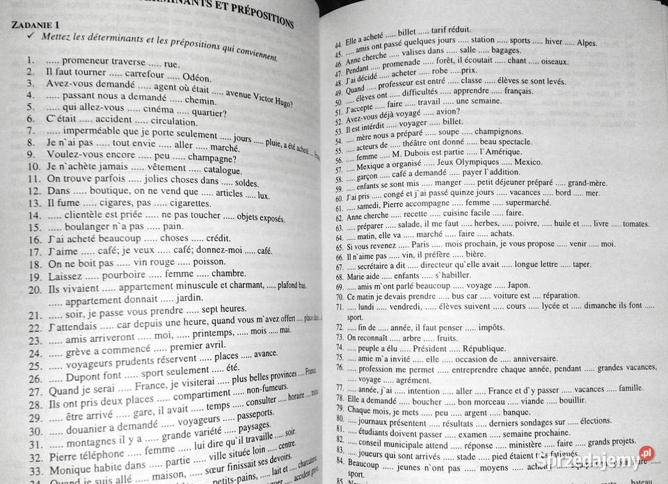 Język francuski Tematy i zagadnienia maturalne Chełm