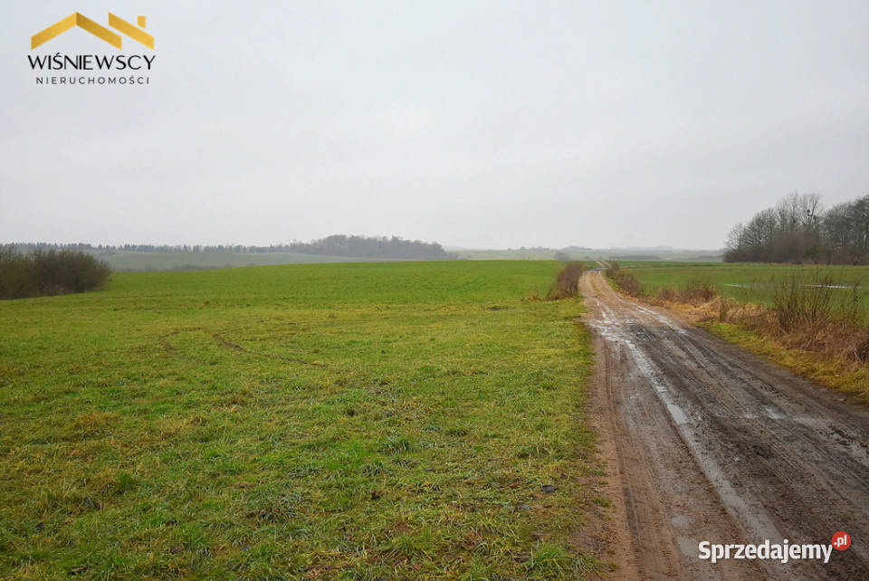 Siedlisko 9400m2 dom dwa budynki gospodarcze Głotowo