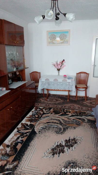 sprzedam mieszkanie Płońsk 455 m2 664374704 Liczba pokoi 2