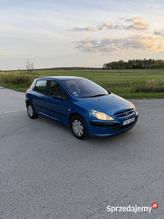 Peugeot 307 20HDI nieuszkodzony Radoszyce