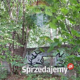 Działka inwestycyjna ze starym młynem małopolskie Kęty