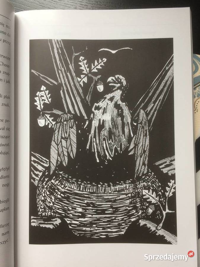 3726 Legendy I Podania Do Dziejów Choszczna i Szczecin sprzedam