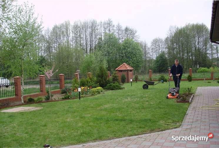 Ogłoszenie Dom parterowy Wielka Nieszawka