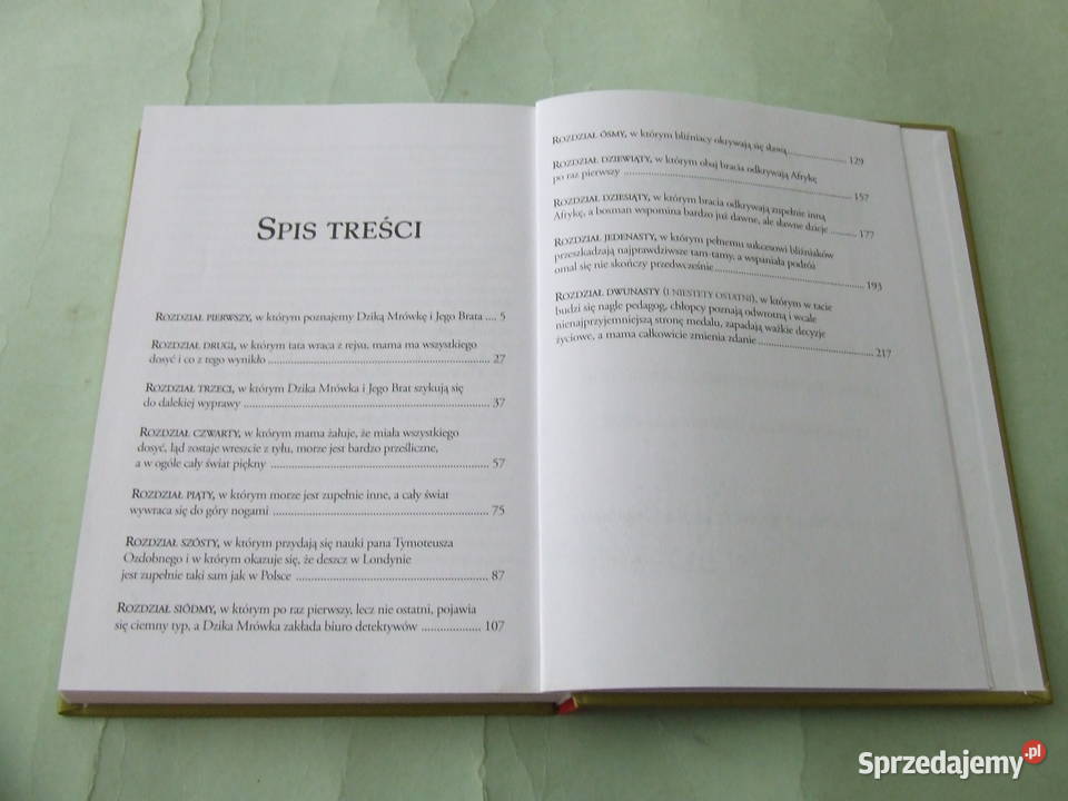 Dzika Mrówka i tam tamy Perepeczko Wszystkie Oborniki Śląskie