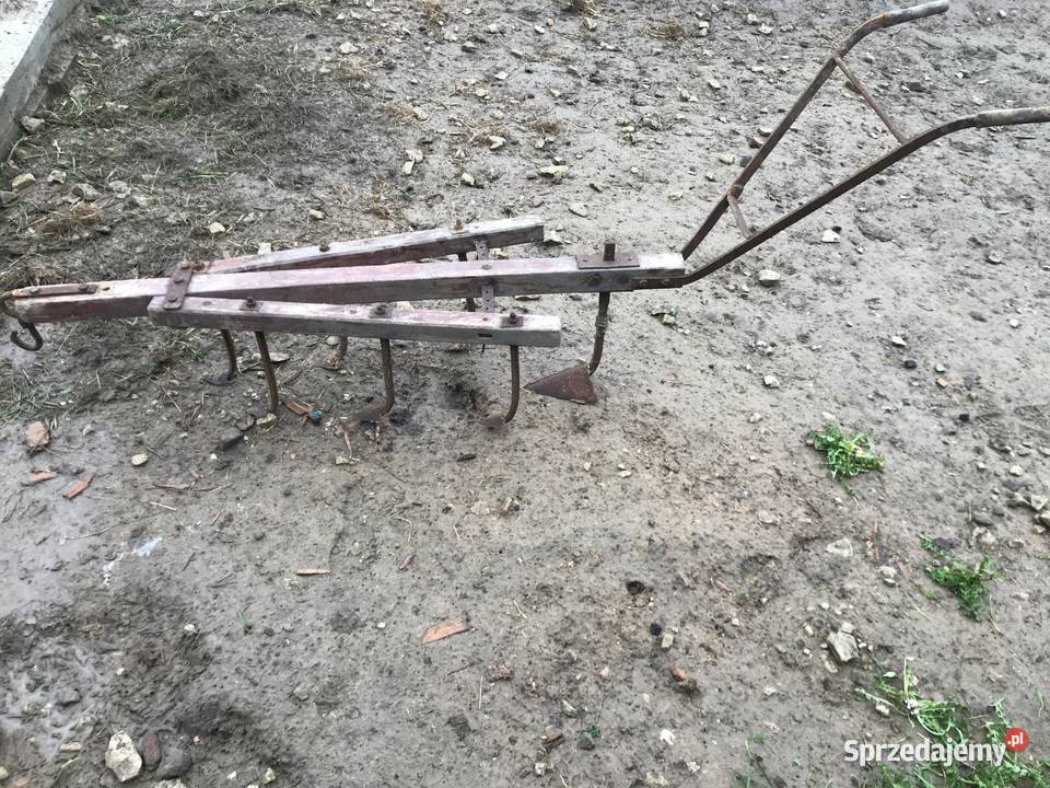 sprzedam radło konne w stanie Strzyżewice sprzedam