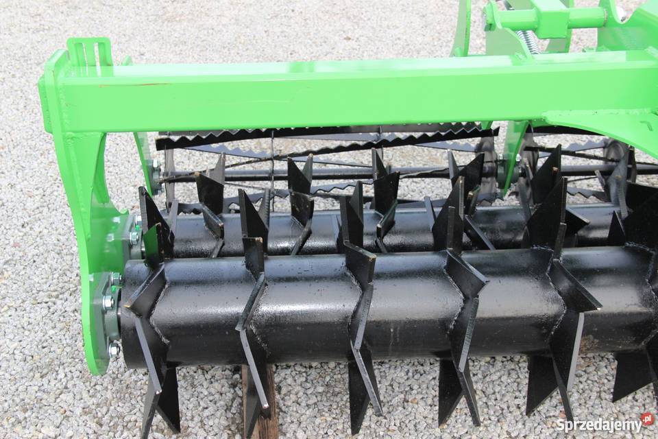 Wał strunowy podwójny Dziekan Lew zębaty falisty Rogóźno