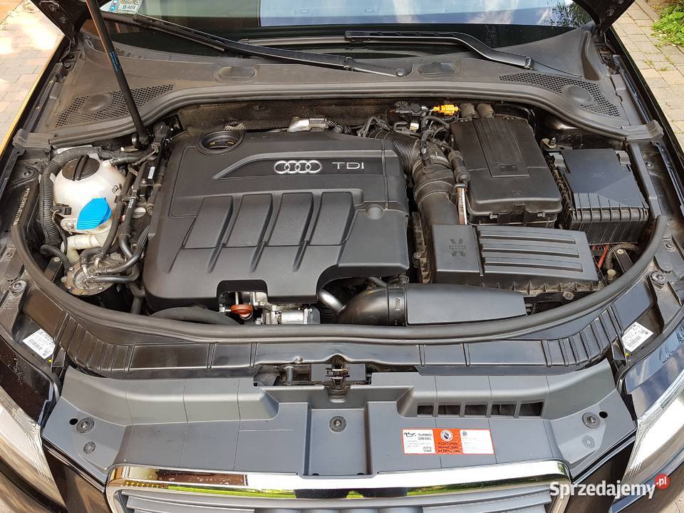 Audi A3 Sportback 20TDI CR 170 170KM Bielsko-Biała