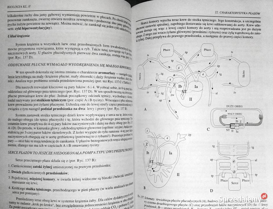 Biologia kl 2 Waldemar Lewiński lubelskie Chełm sprzedam