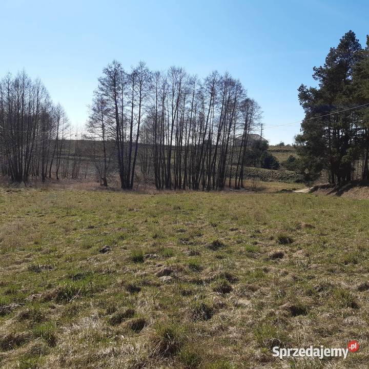 Jezioro Wądzyńskie Lembarg sprzedam