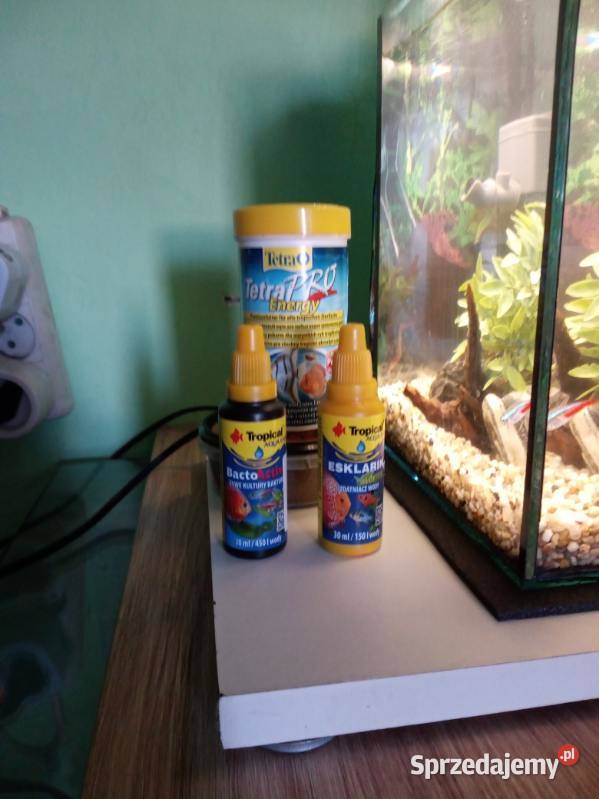 Akwarium kostka 10l Toruń