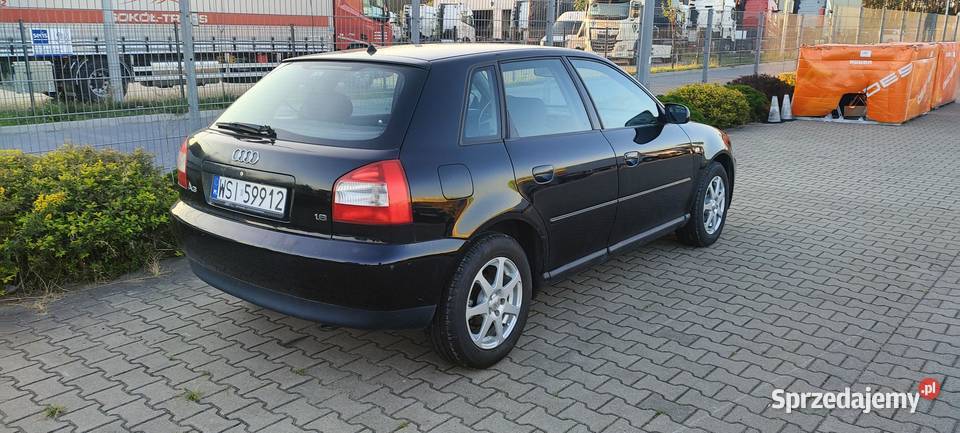 Audi A3 8L 16 Benzyna 2001 r Polift Zadbane do manualna Siedlce