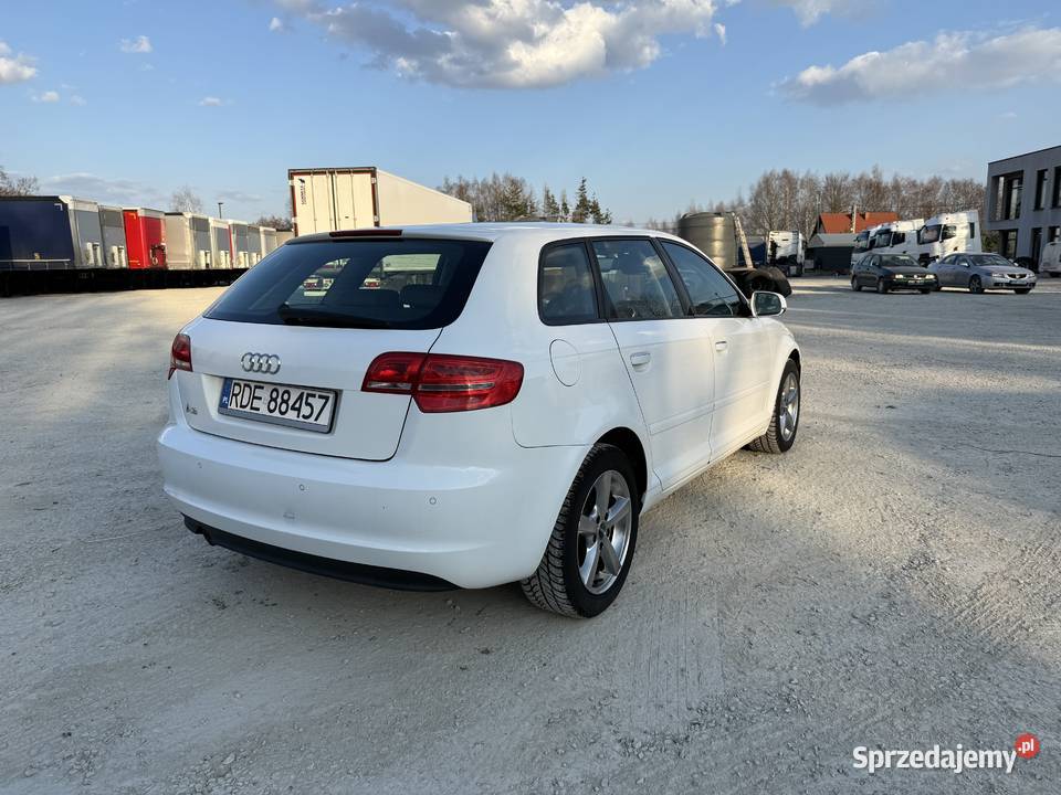 Audi A3 8P 2010 16 TDI 262 000 Pilzno