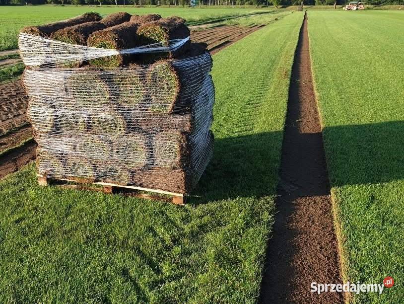 Trawa z rolki z siatką na Kreta polska produkcja