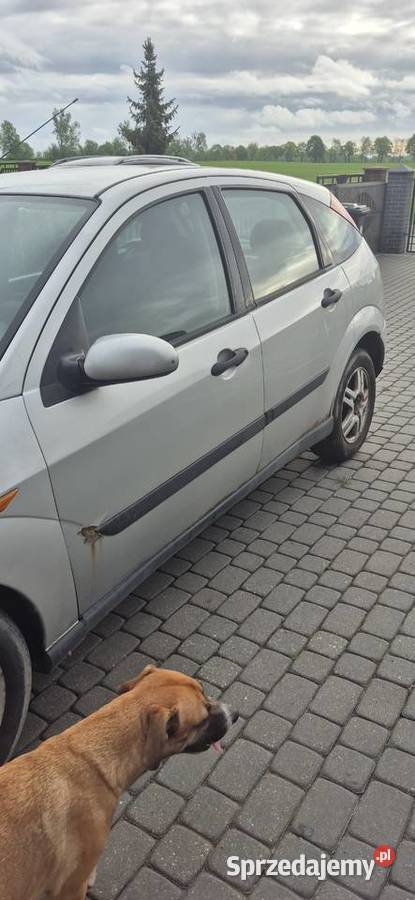 Ford focus diesel Samochody osobowe kujawsko-pomorskie