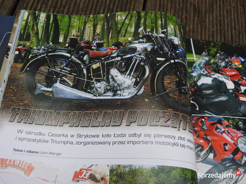 Custom Harley WLA Indian Bobber Chopper Easy sprzedam