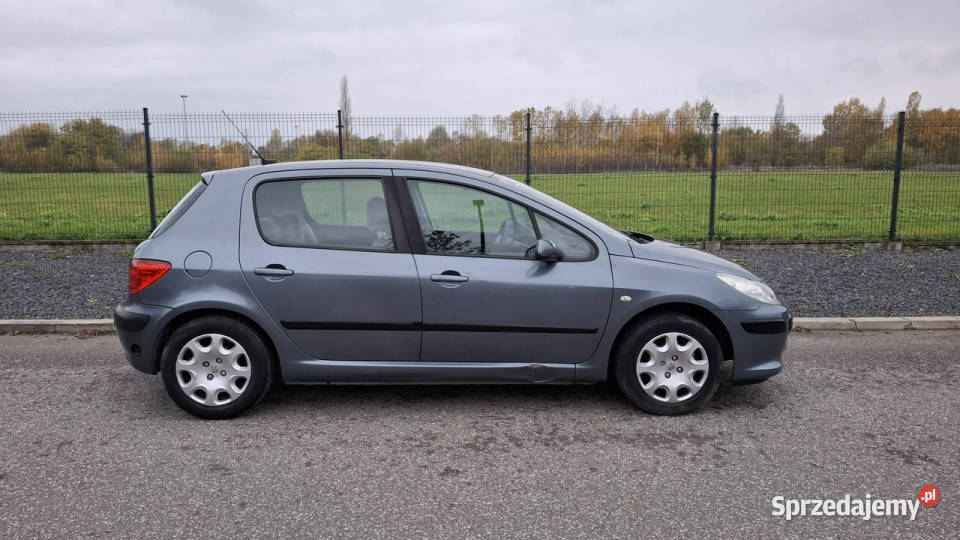 Peugeot 307 Peugeot 307 14 LPG GAZ Klima Pabianice