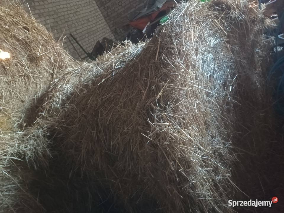 Sprzedam siano i słomę Łęczyca