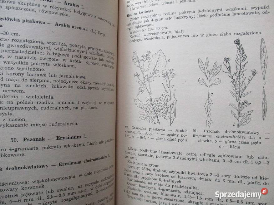 Krajowe chwasty polne i ogrodowe Mowszowicz 1955 chemia, biochemia Łódź