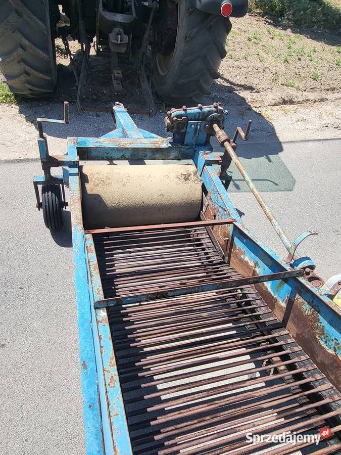 Kombajn zbieracz do cebuli Krukowiak Anna