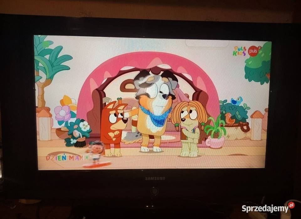 Sprzedam Zadbany Telewizor Samsung 32 Cale z Telewizory Tuszyn