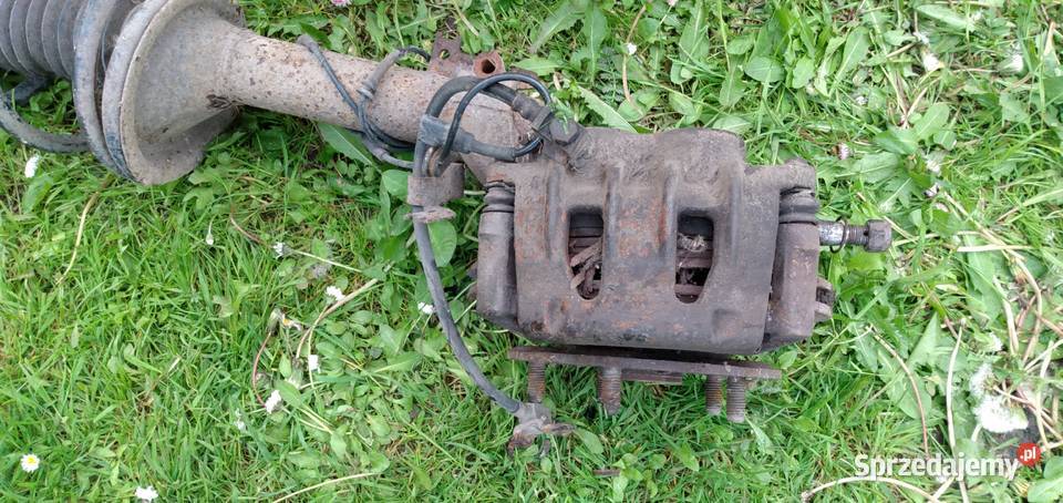 amortyzator zacisk piasta prawy przód Fort