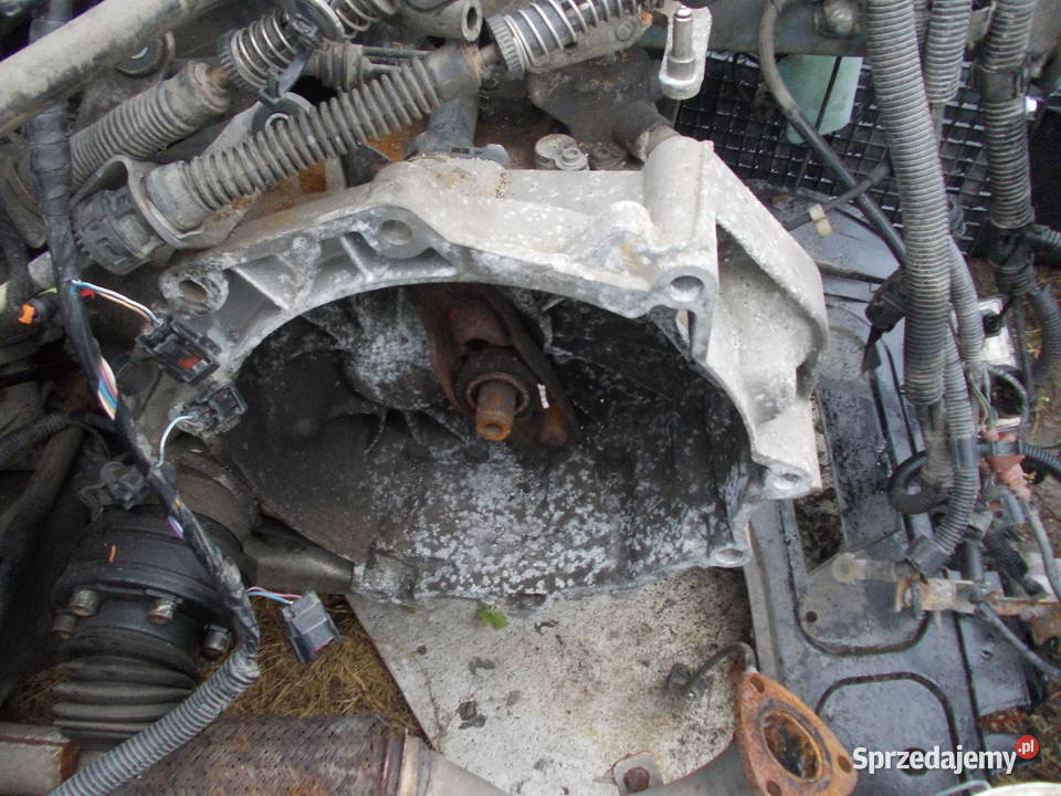 Skrzynia biegów Skoda fabia audi a3 seat 2005 Rok produkcji 2005 Kraków sprzedam