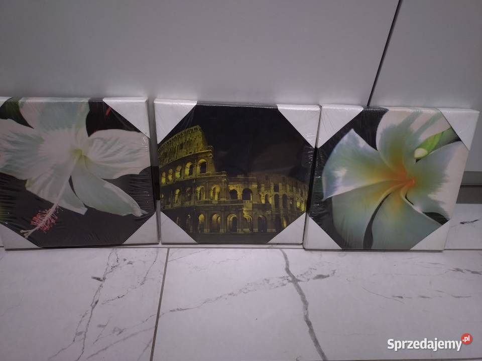 Obrazki na ścianę wielkopolskie Poznań