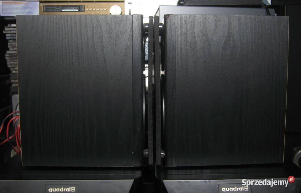 Kolumny Panasonic SBPM46 eleganckie i sprawne Sandomierz