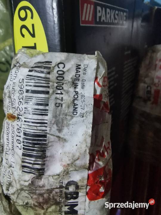 Bednarka pomiedziowana Celestynów