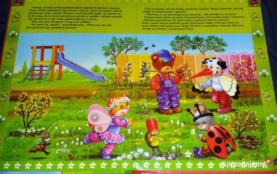 Przygody misia Maćka Justyna Święcicka Chełm