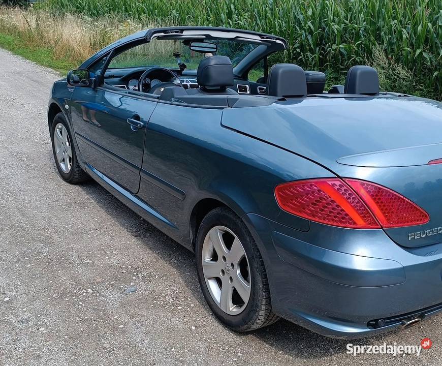 Peugeot 307 CC kabriolet 20 benzyna Rok produkcji 2005 sprzedam
