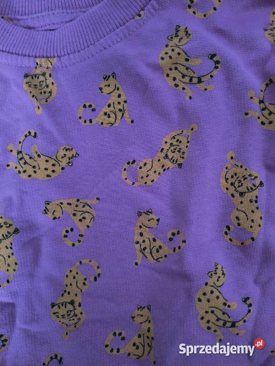 Bluza dziewczynka Kamionka