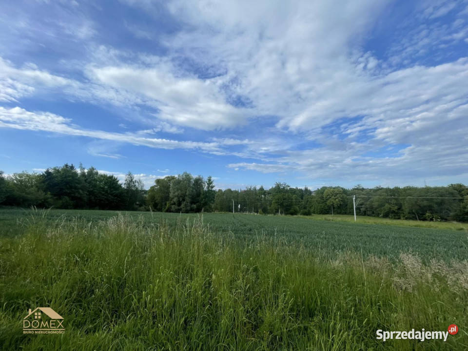 Ziemia 6835m2 Cieszyn sprzedam