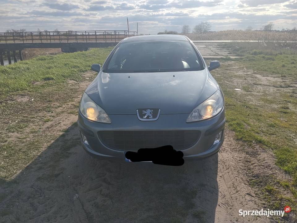 Peugeot 407 18 gaz łódzkie