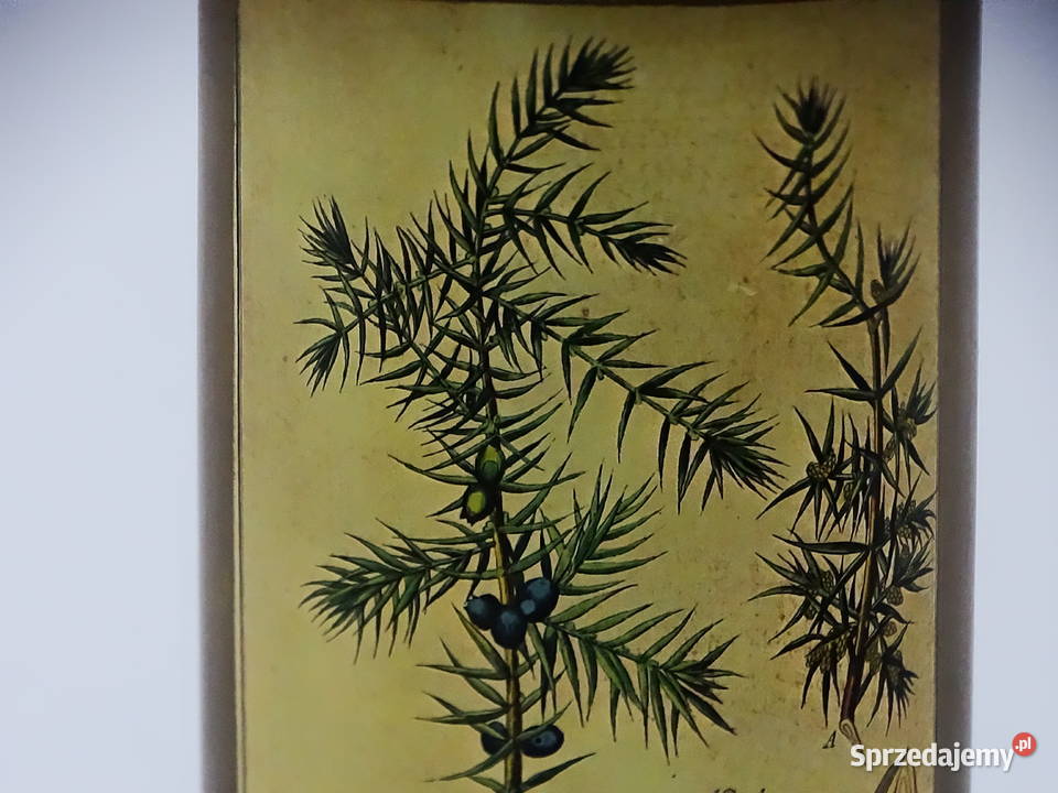 Zabytkowy pojemnik aptekarski z ilustracją lubelskie