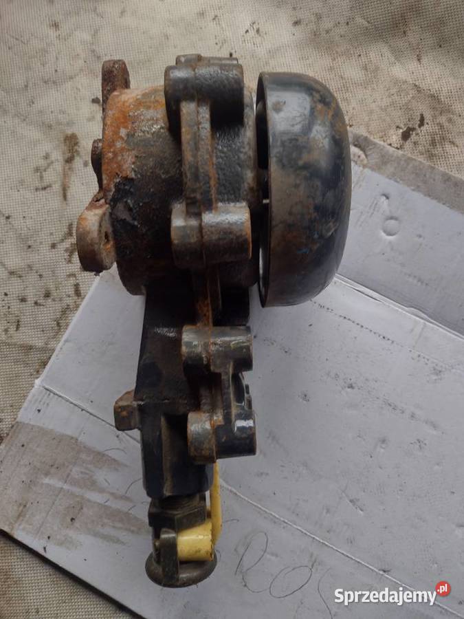 Dzwonek grzechotkowy Gołcza