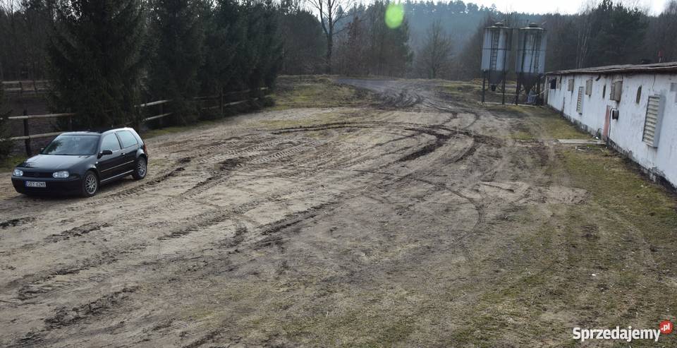 Ferma Drobiu hale produkcyjno przemysłowe Miastko