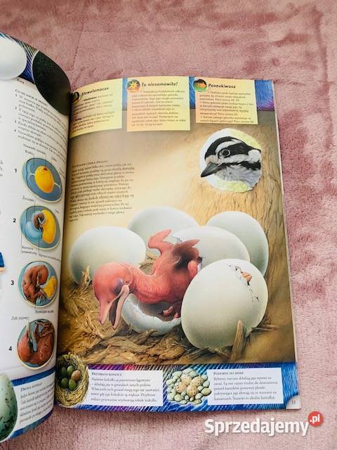 Ptaki Poszukiwacze Edward S Brinkley Warszawa