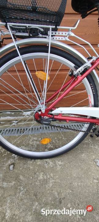 Rower Phil Rogers Brzesko