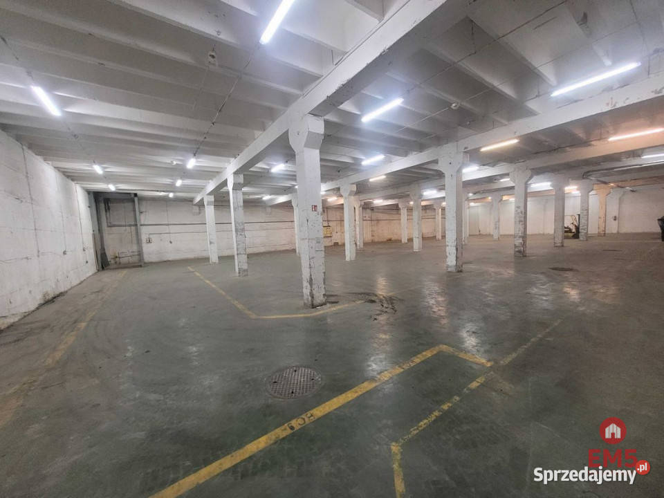 Lokal 1000m Białystok Wynajem