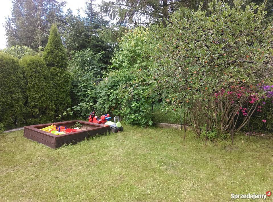 Sprzedam działkę ogrodową na Malwa Sianożęć prąd Grunty i działki Suwałki