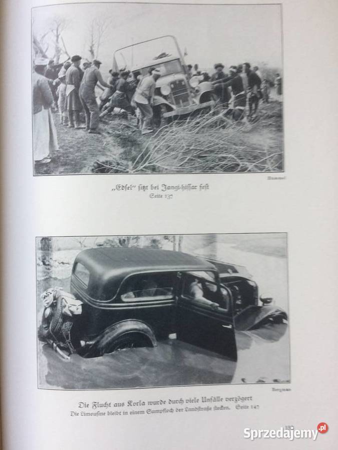 3604 Die Flucht Des Grossen Pferdes Szczecin