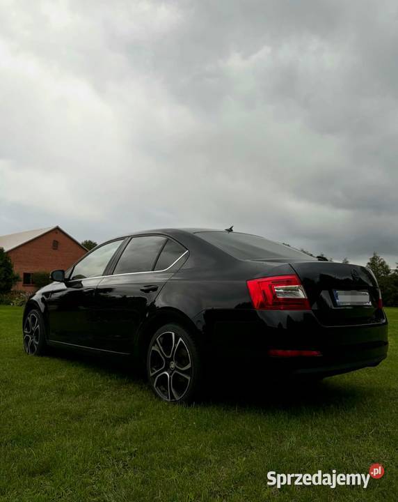 Skoda Octavia 2013 16 TDI Stan idealny lubelskie