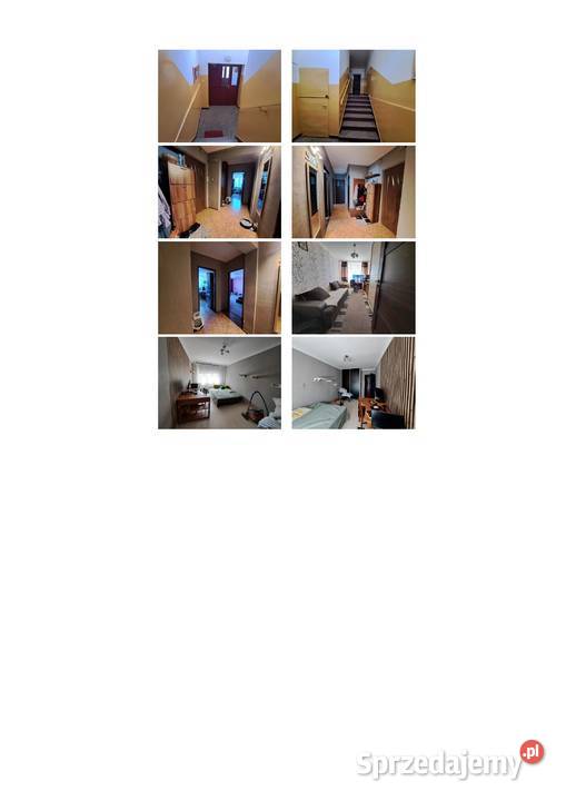 Syndyk sprzeda udział 12 w spółdzielczym własn 74.29m2 Chełm