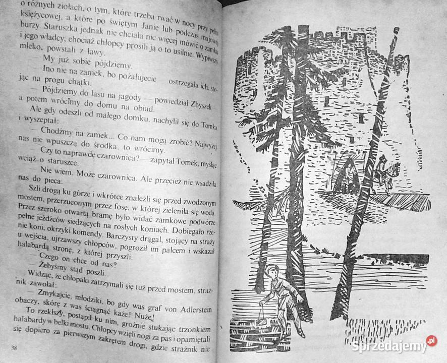 Więźniowie Skalnego Grodu Stanisław Pagaczewski Pozostałe
