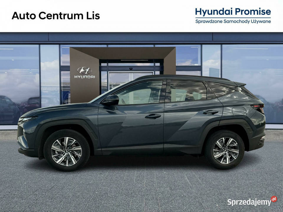 Salon Polska HEV Teal 230 Faktura VAT 23 Kalisz